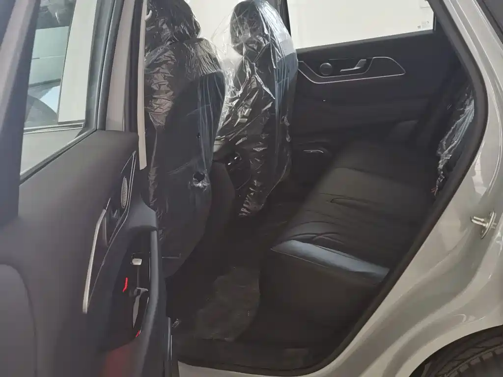 Fengyun T9 120 Long Range Honored 5-seat Ternary Lithium