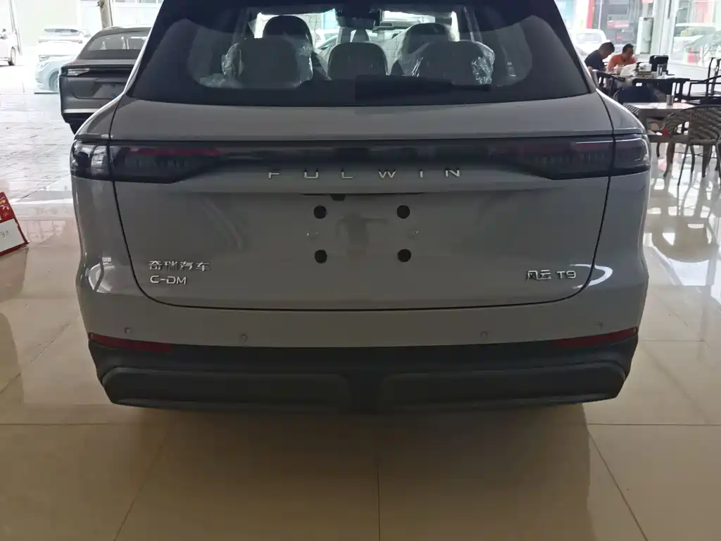 Fengyun T9 120 Long Range Honored 5-seat Ternary Lithium