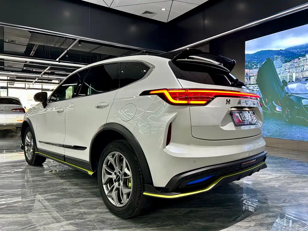 Haval Chitu Power Enjoyment 1.5 T Bronze Rabbit