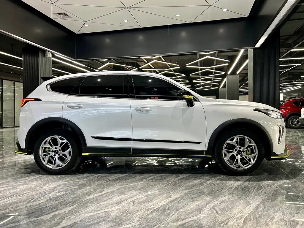 Haval Chitu Power Enjoyment 1.5 T Bronze Rabbit
