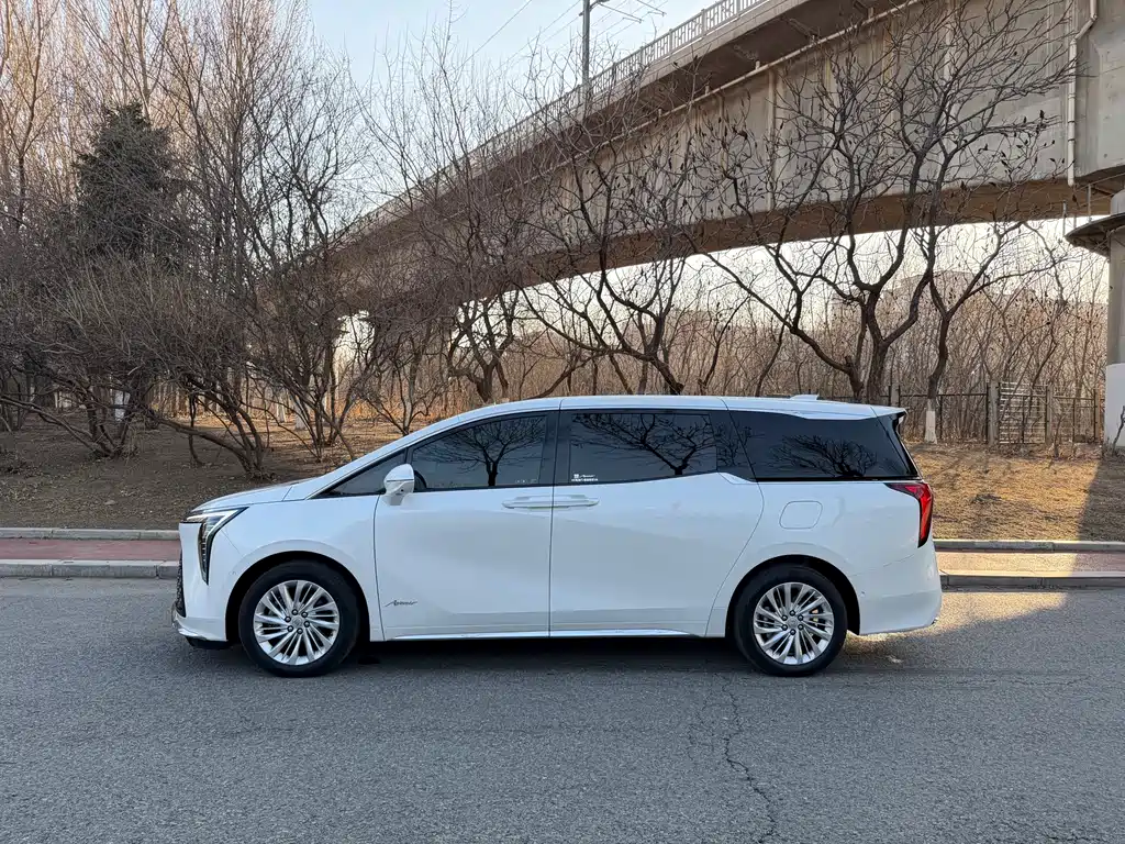Century 2.0 T 7-seat Heritage