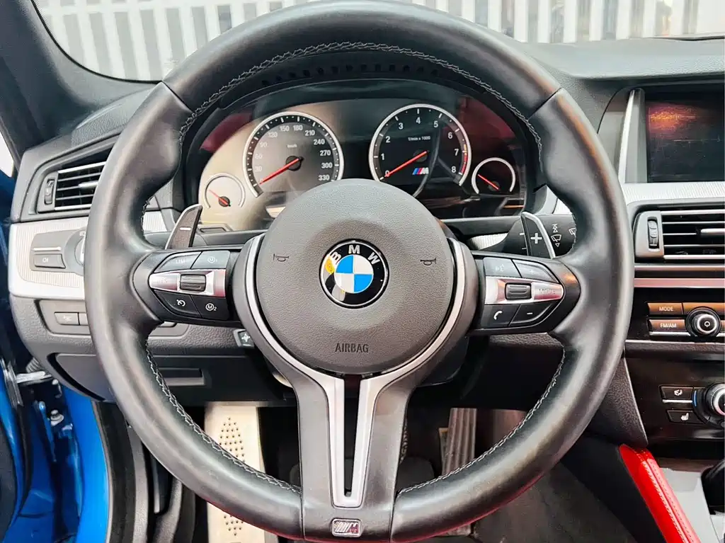 BMW M5 宝马M5 2014款 M5 马年限量版