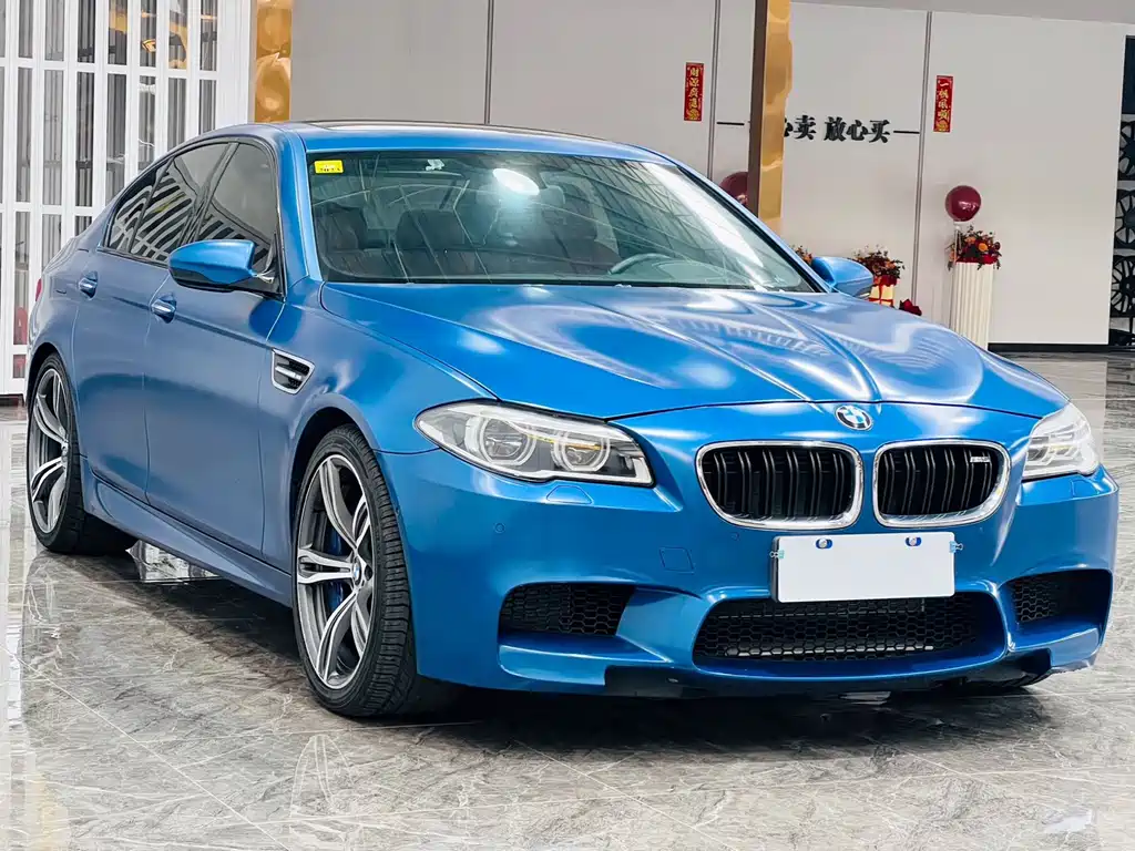BMW M5 宝马M5 2014款 M5 马年限量版