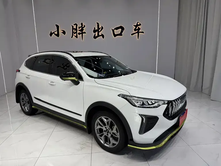 Haval Chitu Power Enjoyment 1.5 T Bronze Rabbit