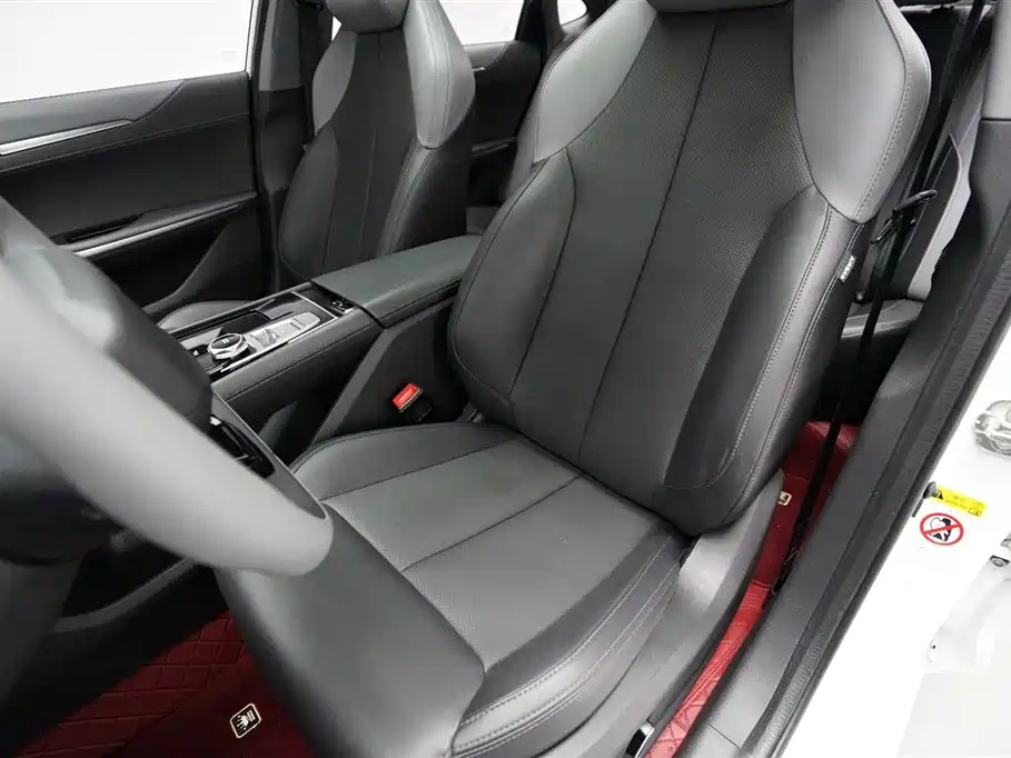 Ruicheng PLUS 1.5 T DCT Distinguished