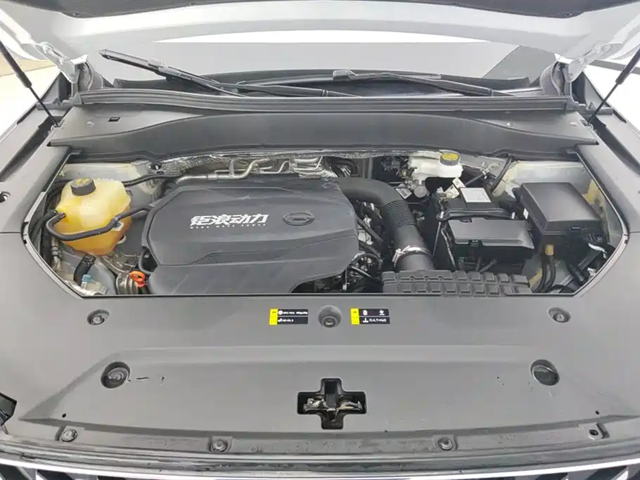 GAC Trumpchi GS8 Navigator Series 2.0 TGDI 2 WD Luxury Connected (7-seat)