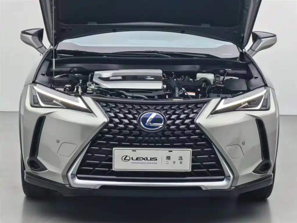 Lexus UX 260 h ·