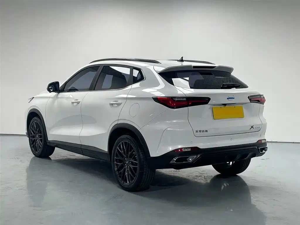 Changan Oshan X5 1.5 T DCT Flagship