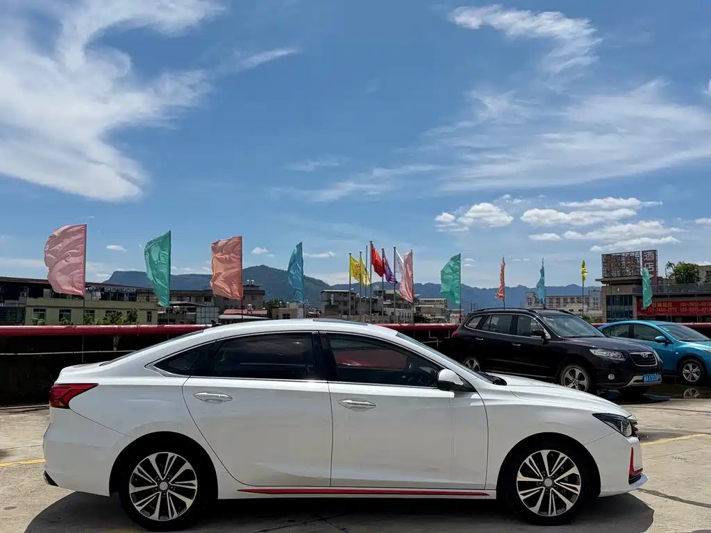 Ruicheng CC Blue Whale 1.5 T DCT Luxury