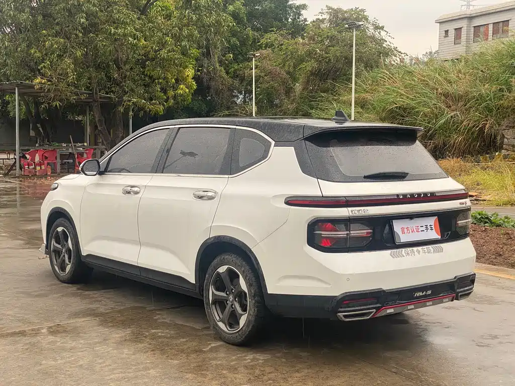 Baojun RM-5 宝骏RM-5 2019款 1.5 T CVT 24小时在线尊贵型 5座