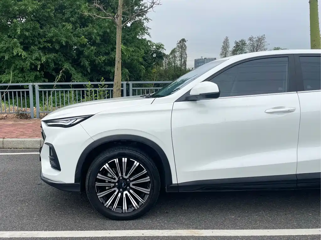 Changan Oshan X5 Smooth Enjoyment 1.5 T DCT Premium