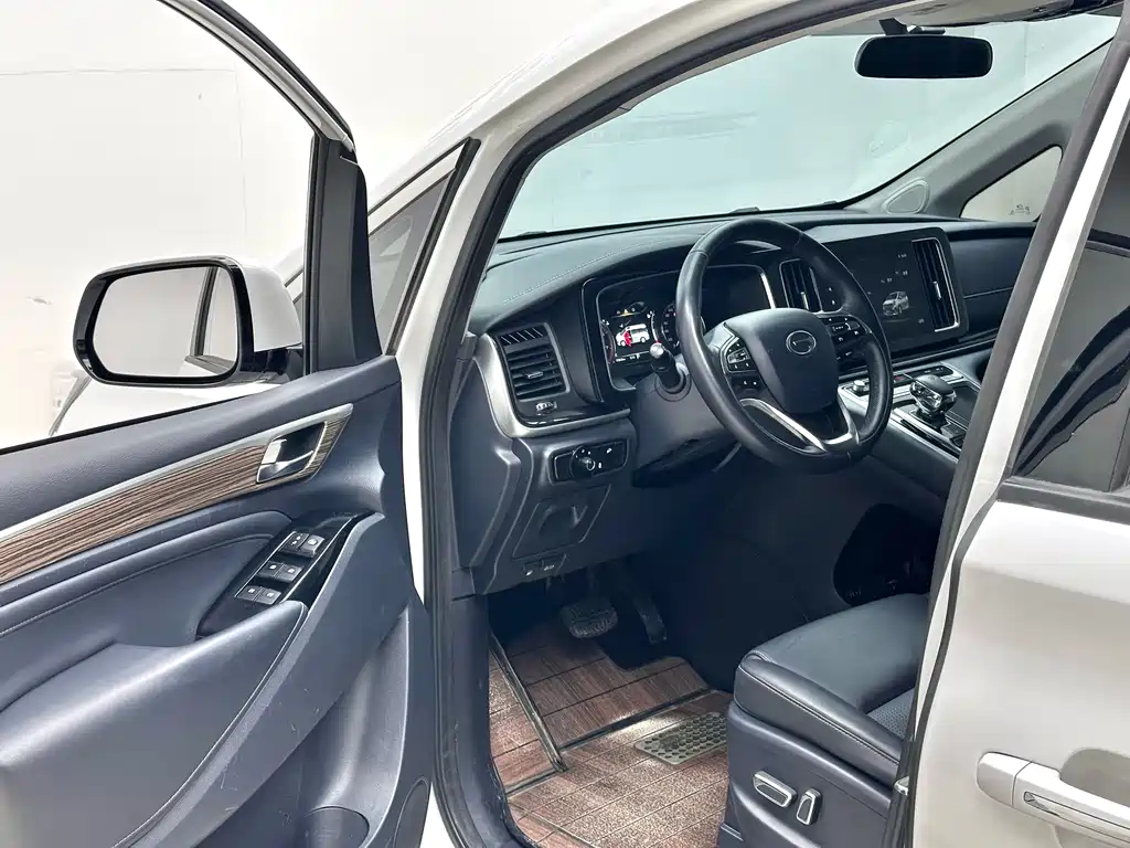 GAC Trumpchi M8 Leading Show Series 390 T Premium