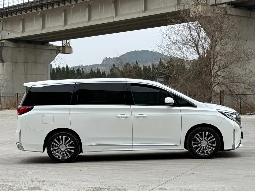 GAC Trumpchi M8 Leading Show Series 390 T Distinguished