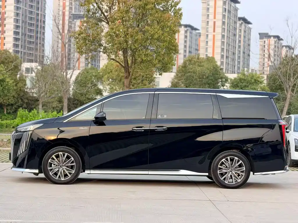 GAC Trumpchi M8 Leading Show Series 390 T Premium