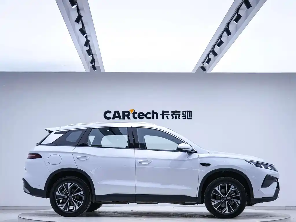 Song Pro NEV DM-i 133 KM Transcend
