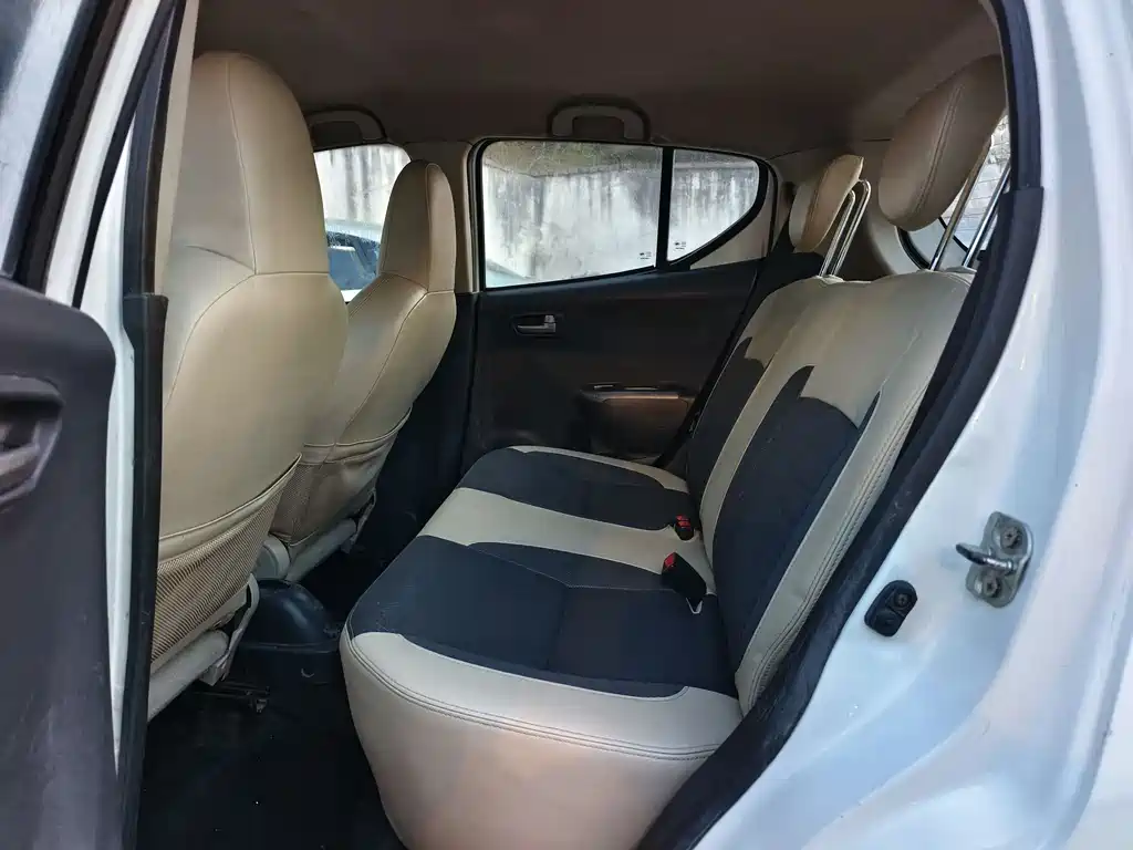 Alto 1.0 L Auto Cool