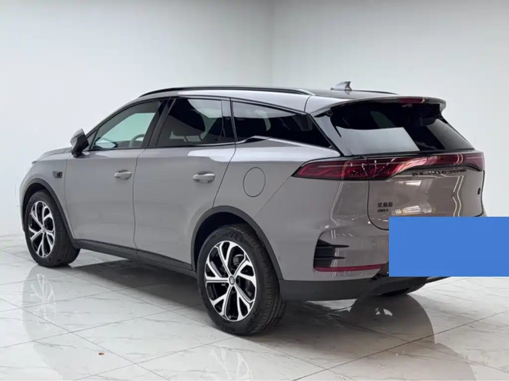 Tang NEV DM-i 115 KM Flagship