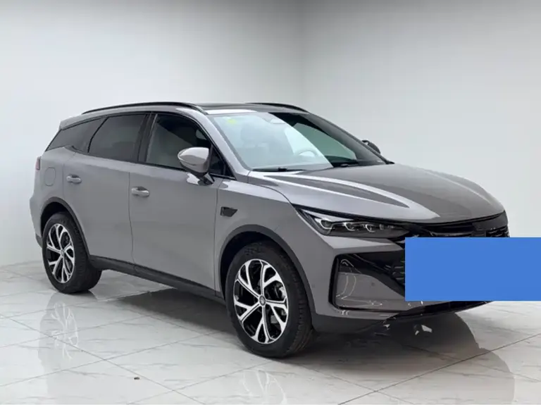 BYD Tang NEV DM-i 115 KM Flagship