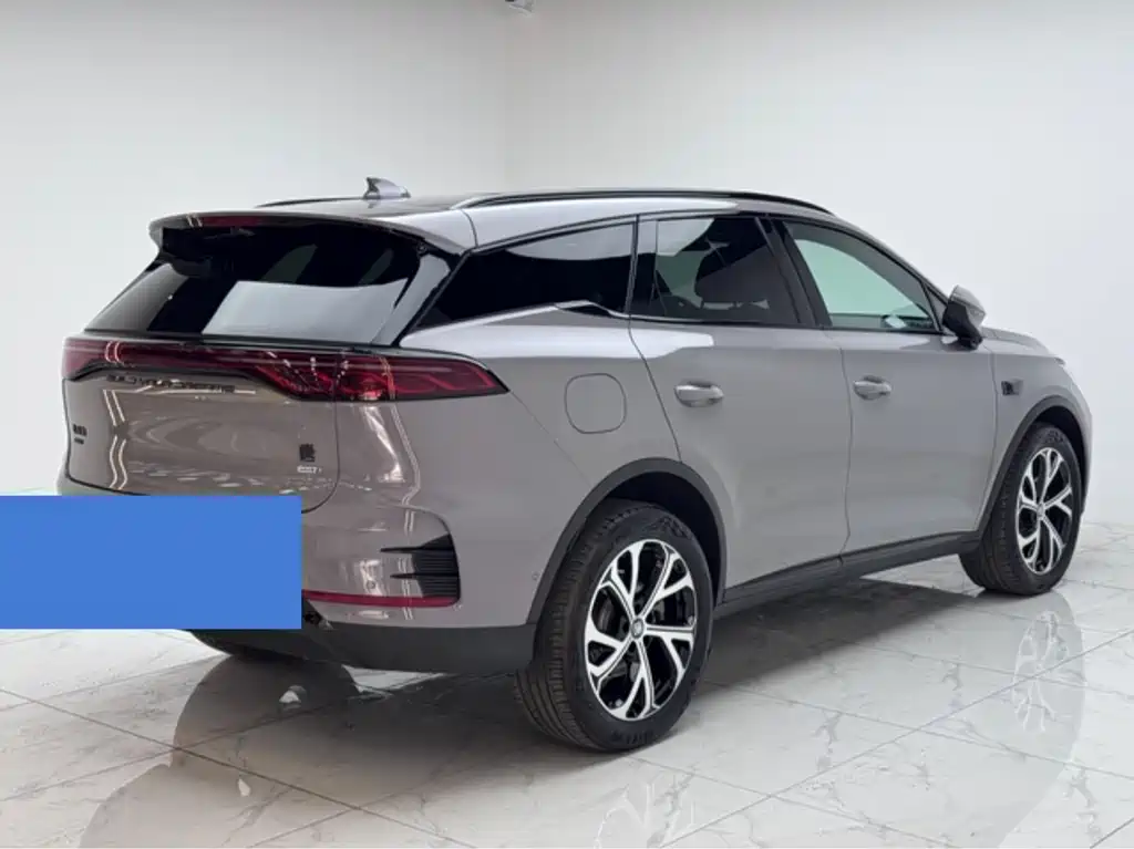 Tang NEV DM-i 115 KM Flagship