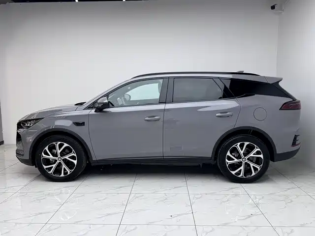 Tang NEV DM-i 115 KM Flagship