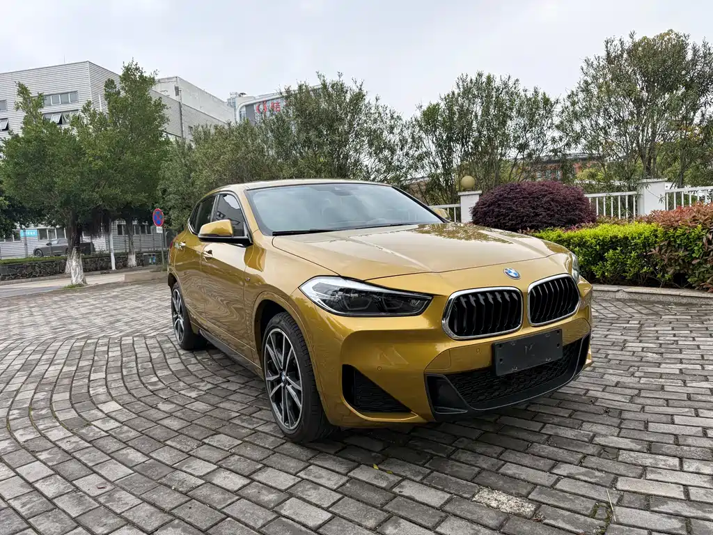 BMW X2 sDrive25 i Premium M Sport Package