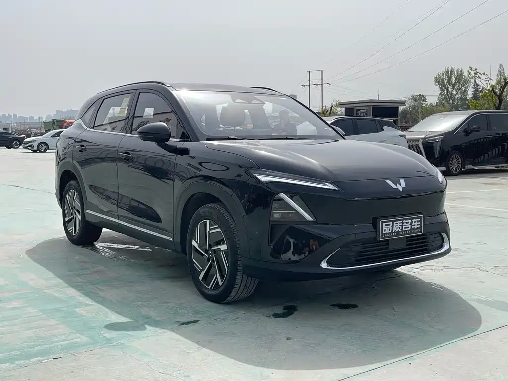 Wuling Starlight S 130 km Flagship