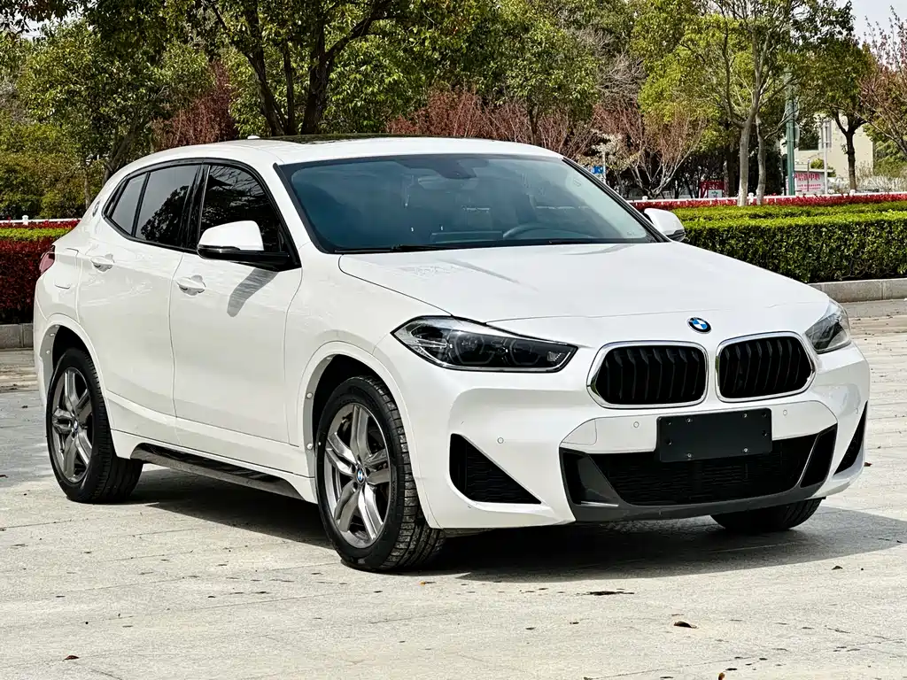 BMW X2 sDrive25 i M Sport Package