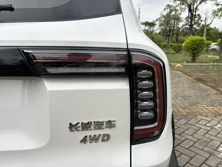 Haval Dargo 2.0 T DCT 4 WD Brilliance Country Dog Hunt