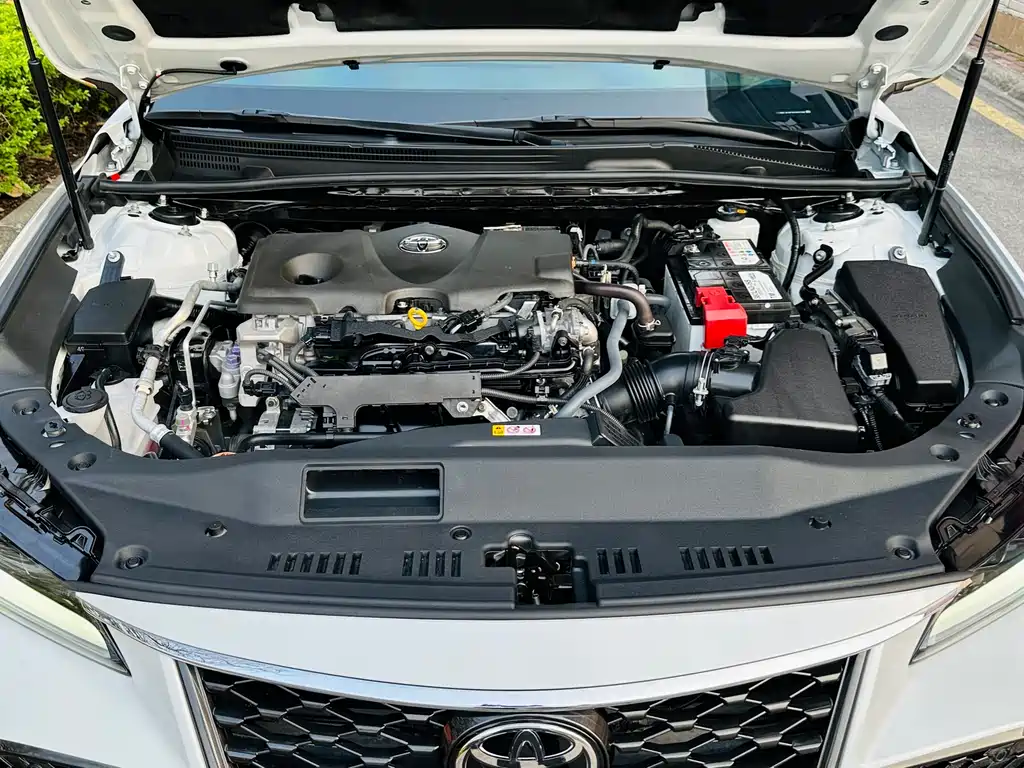 Avalon 2.5 L Touring Distinguished