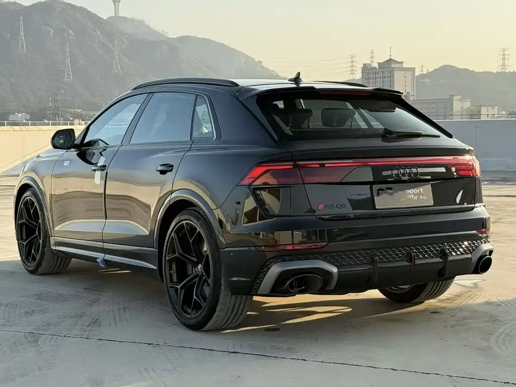 Audi RS Q8 RS Q8 4.0 T performance