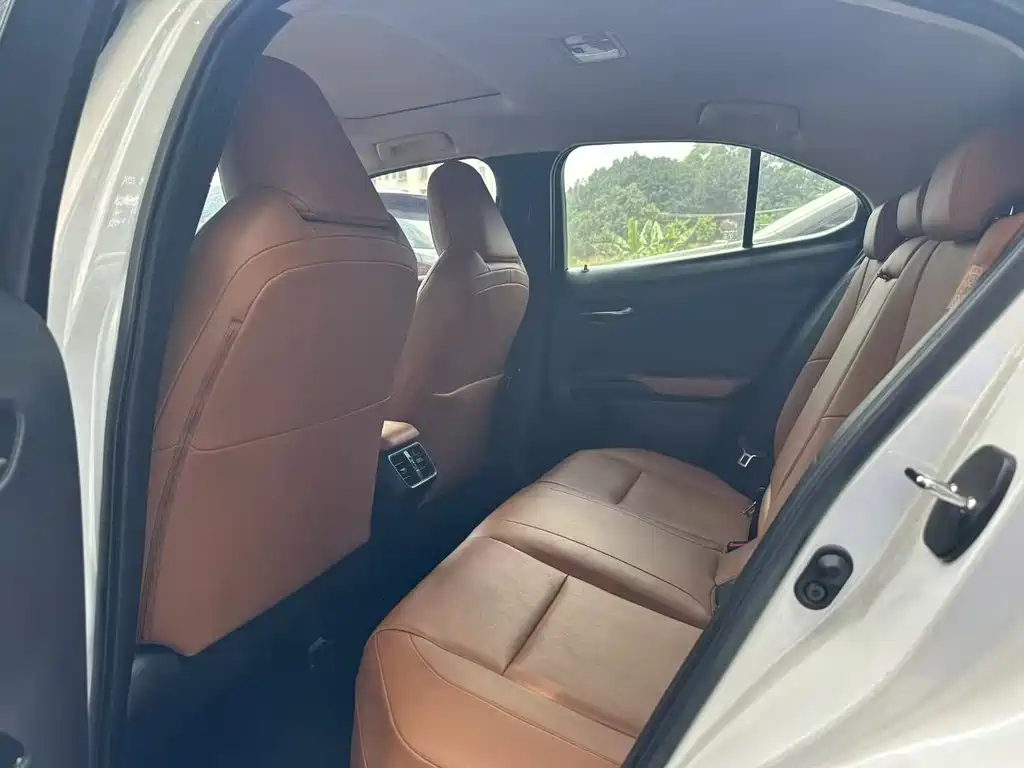 Lexus UX 200 Special Edition