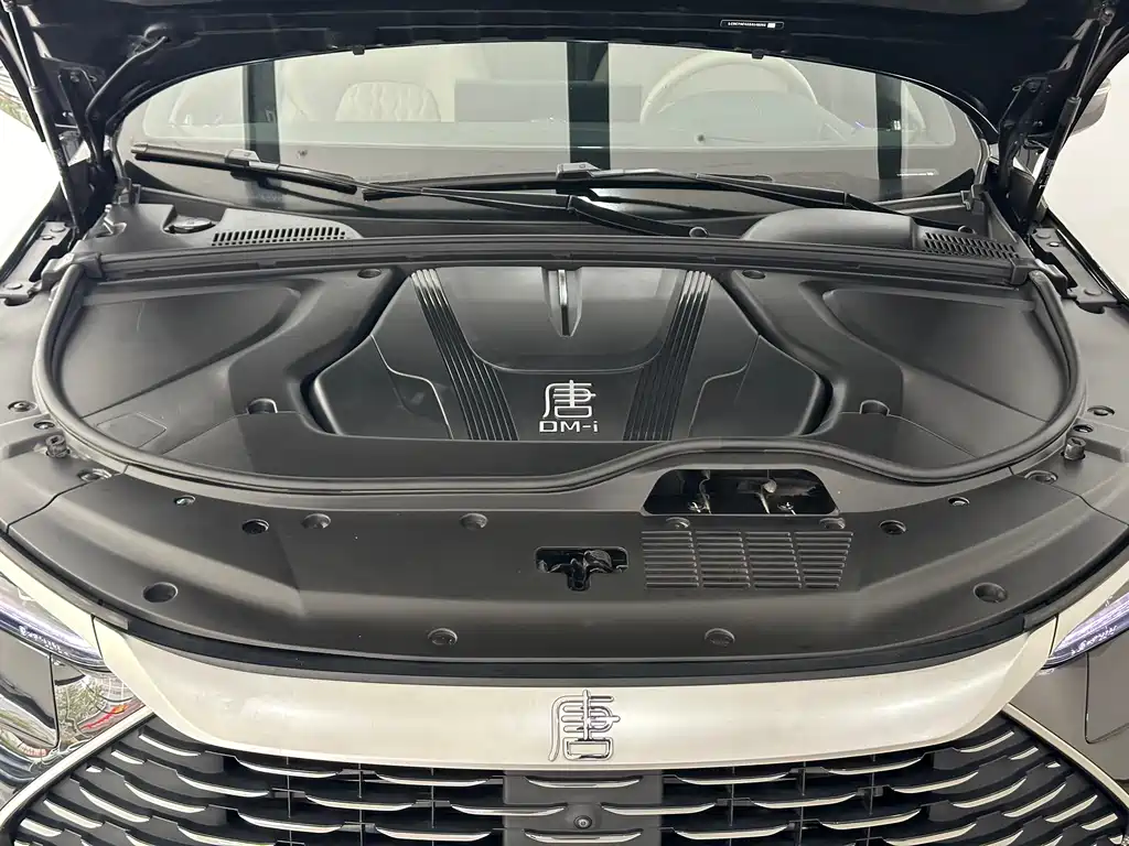Tang NEV DM-i Glory 112 KM Flagship