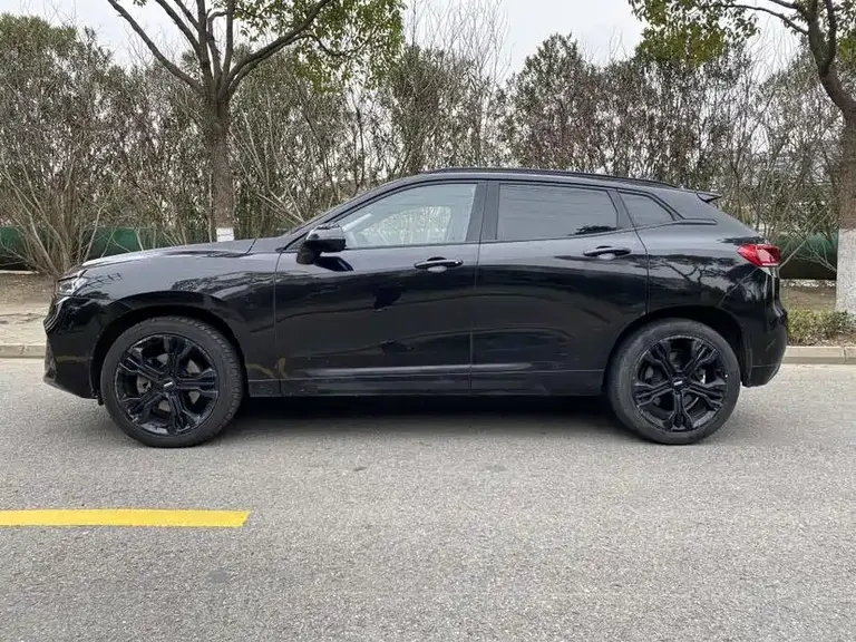 WEY VV7 2.0 T Flagship