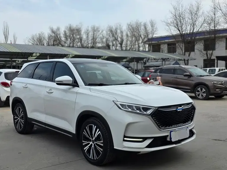 Changan Oshan X7 1.5 T Auto Distinguished