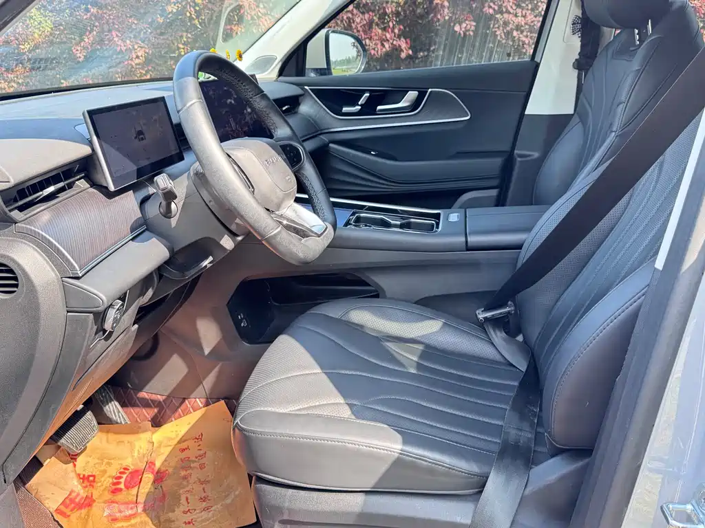 Fengyun T9 风云T9 2024款 120 长续航版标准型 5座 三元锂