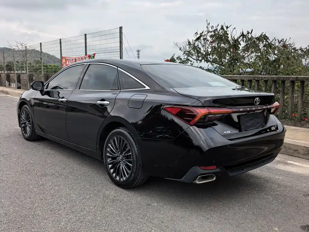 Avalon 2.0 L XLE Premium CN-VI