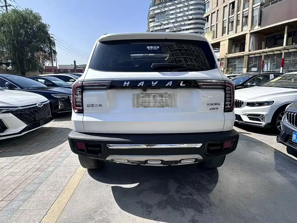 Haval Dargo 2.0 T DCT 4 WD Brilliance Country Dog
