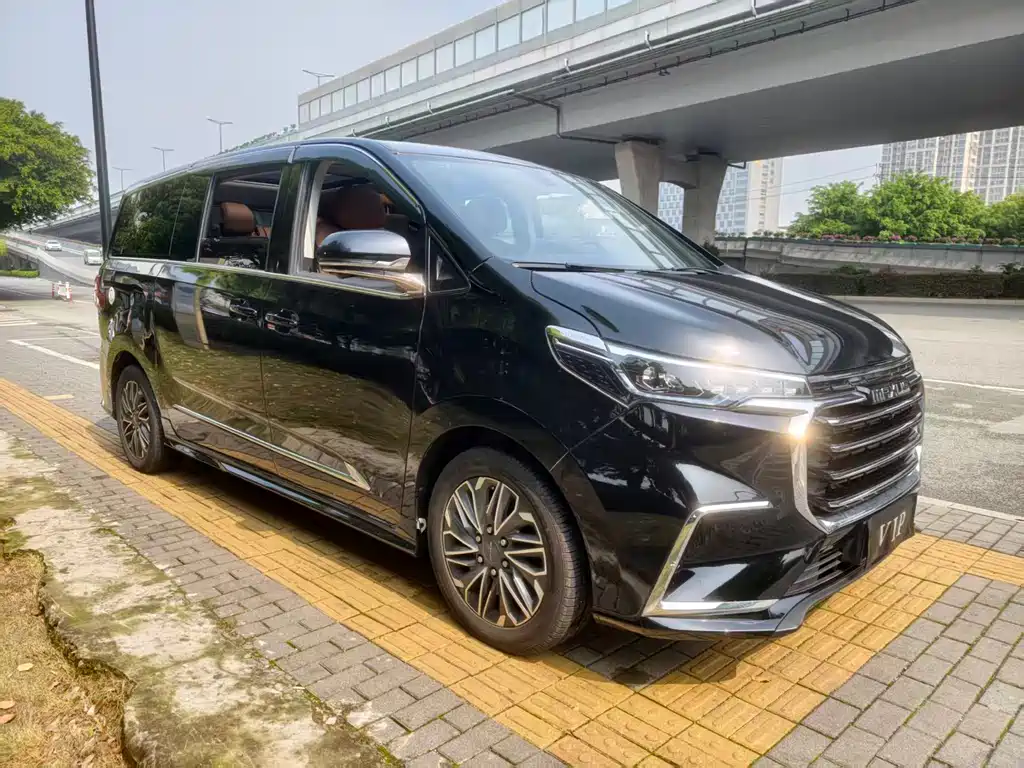 Maxus G20 大通G20 2021款 PLUS 2.0 T 汽油自动尊享行政版