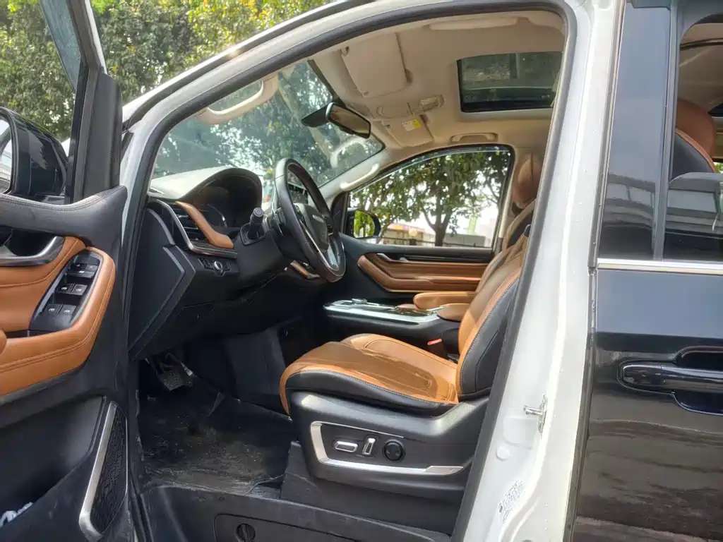 Maxus G20 大通G20 2021款 PLUS 2.0 T 汽油自动尊享行政版