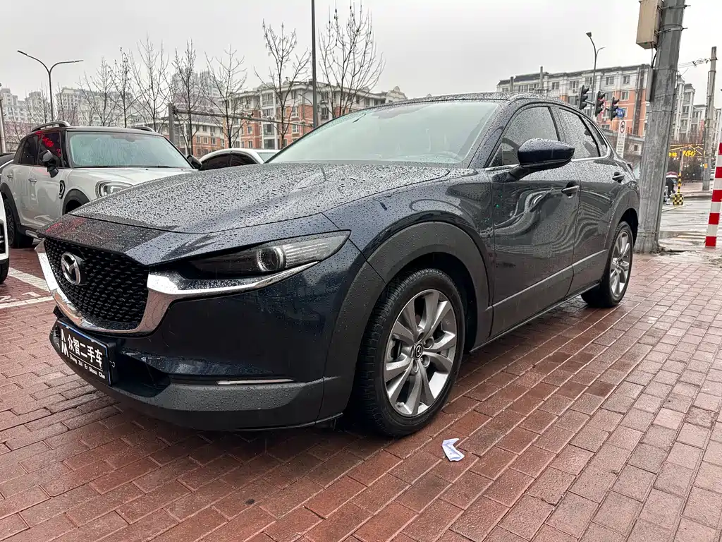 Mazda CX-30 2.0 L Auto Elegant Joy