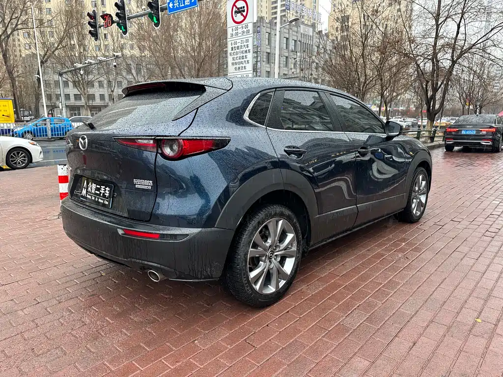 Mazda CX-30 2.0 L Auto Elegant Joy
