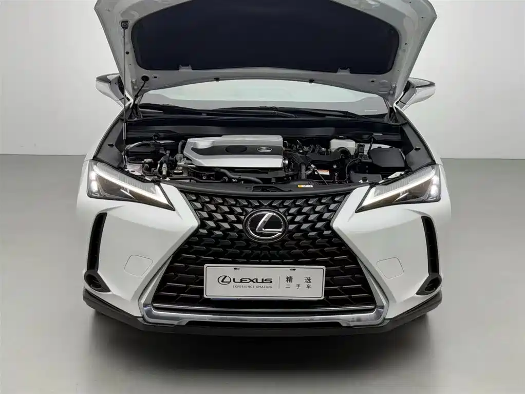 Lexus UX 260 h · CN-V