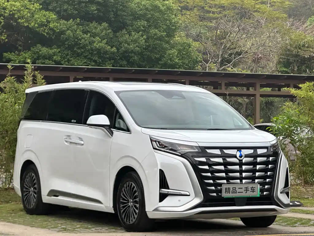 Denza D9 DM-i 970 4 WD Honored