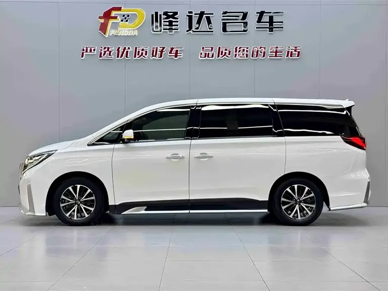 GAC Trumpchi M8 Leading Show Series 390 T Premium