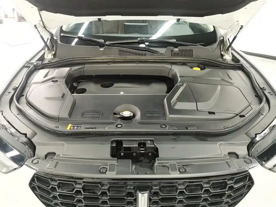 WEY VV5 2.0 T Super Luxury