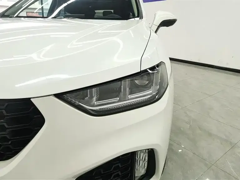 WEY VV5 2.0 T Super Luxury