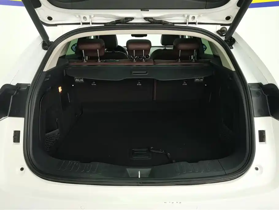 WEY VV5 2.0 T Super Luxury