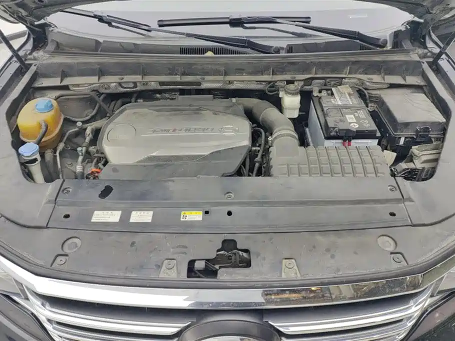 GAC Trumpchi GS8 320 T 2 WD Luxury Connected (7-seat)