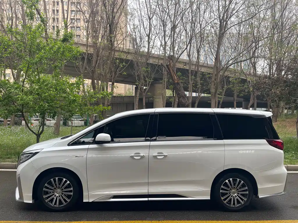 GAC Trumpchi M8 Master Series 390 T Distinguished