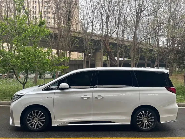 GAC Trumpchi M8 Master Series 390 T Distinguished